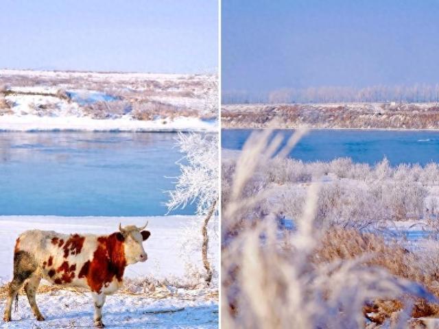 家门口玩雪！美团旅行：吉林、呼伦贝尔“雪假”期间周边游预订量激增，县域目的地成热门