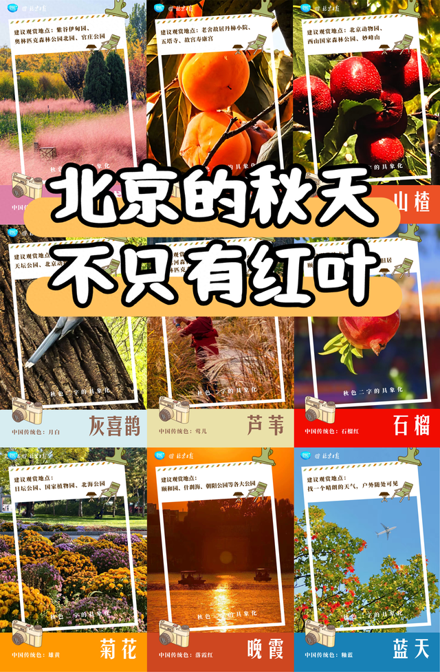不只有红叶，北京的秋色能有多惊艳