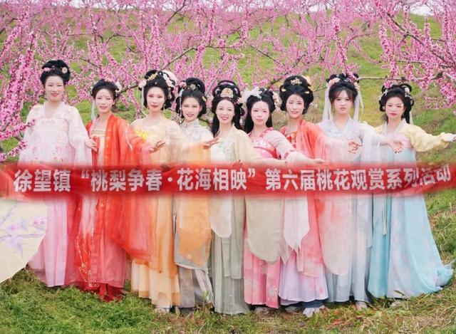 汉中徐望桃花开了！千亩桃林等你来打卡