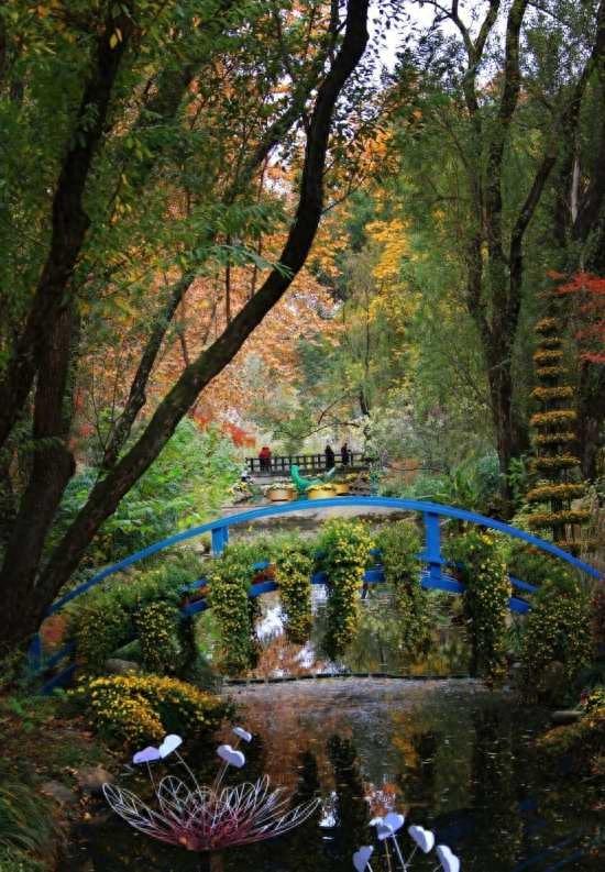 漫步这座“莫奈花园”，邂逅申城油画里的秋天