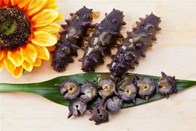 在什么地方能买到正宗的海参 2026年哪里可以买到正宗的海参