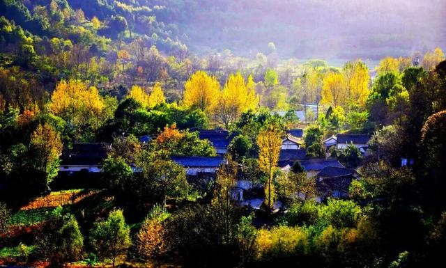 等霜落，看景去——徽县的秋，是首写满美的诗