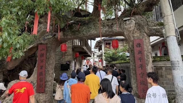 长汀“五一”乡村游备受青睐