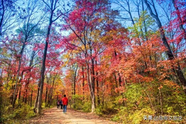 别只盯着长白山！吉林这3个宝藏地，才是真正的高性价比旅游圣境
