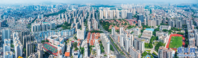 腥城破解版网盘（这一次）