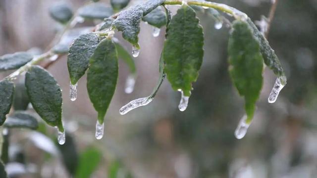 暴跌近10℃！雨夹雪、雪！马上影响杭州，这波真的猛……