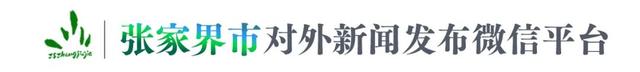 张家界全球文化旅游商品博览会启幕