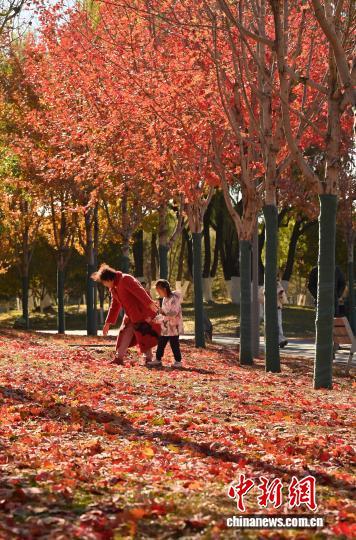 吉林长春秋景如画 市民踏叶赏秋