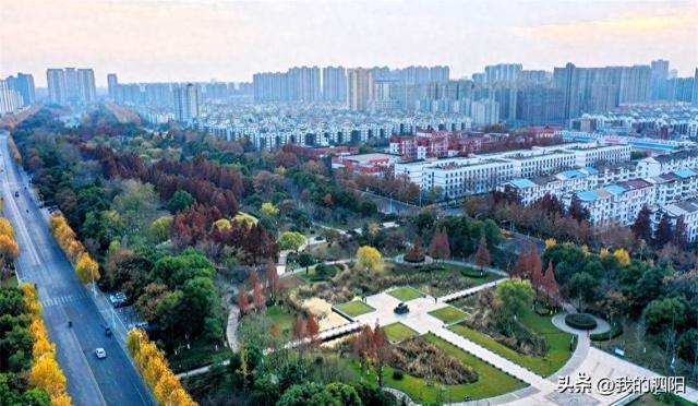 泗阳：城市森林公园换上斑斓冬装 勾勒出一幅冬日生态画卷