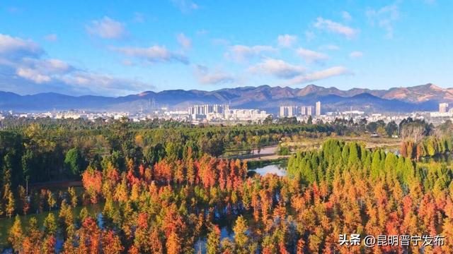 在晋宁，遇见冬日滇池绿道，邂逅诗意山水田园