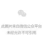 这几天，机器人们开了场运动会