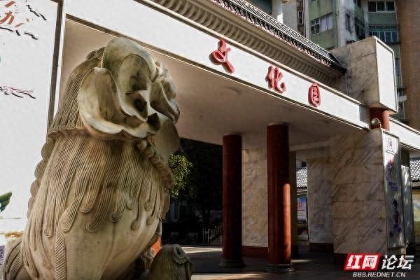 岁暖时刻丨株洲市市中心的“文化绿洲”，叠满文化buff的公园