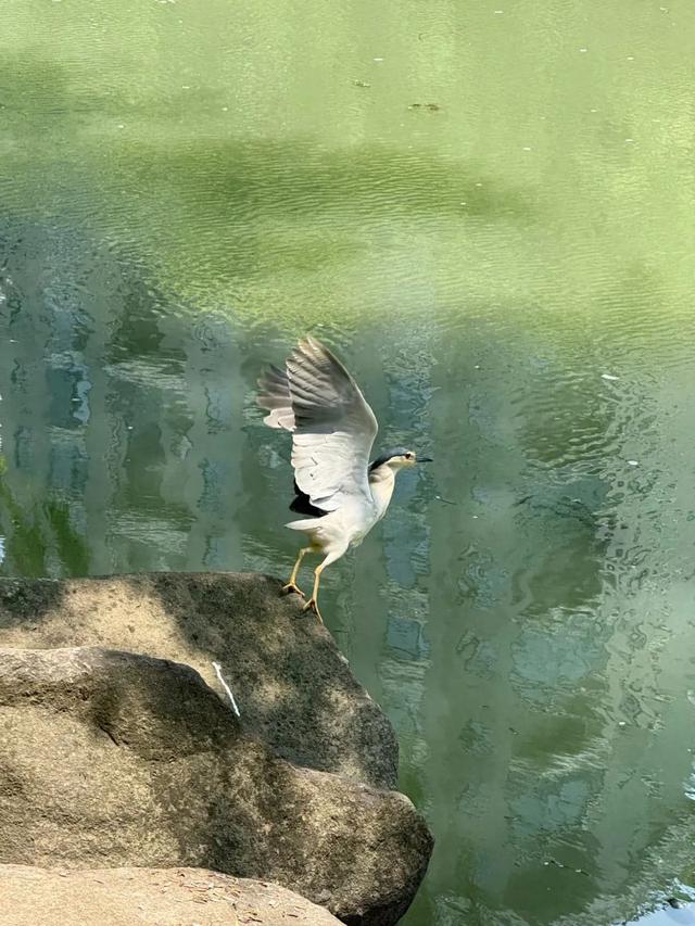 6月，谁说天空一无所有？(下)