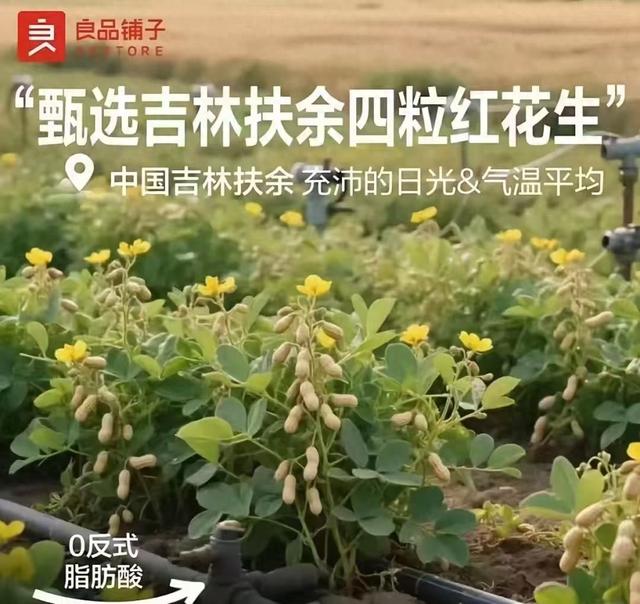 良品铺子就“花生长树”海报致歉：AI生成图片引发常识性错误，已升级审核机制
