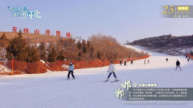 这么近 那么美 周末到河北 | 邯郸·五指山滑雪场