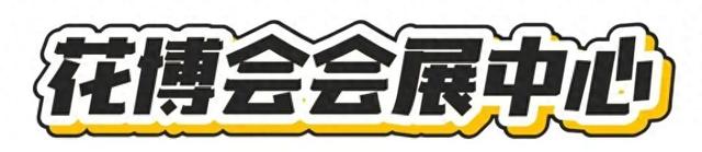 十一来商河，七彩文旅线路总有一条适合你