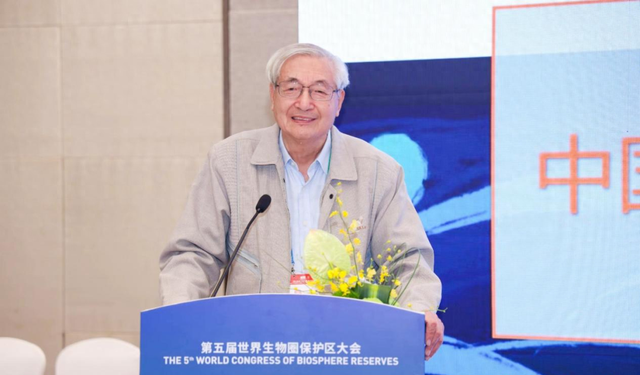 这种「致敬自然」的中国方案，正在成为世界样本