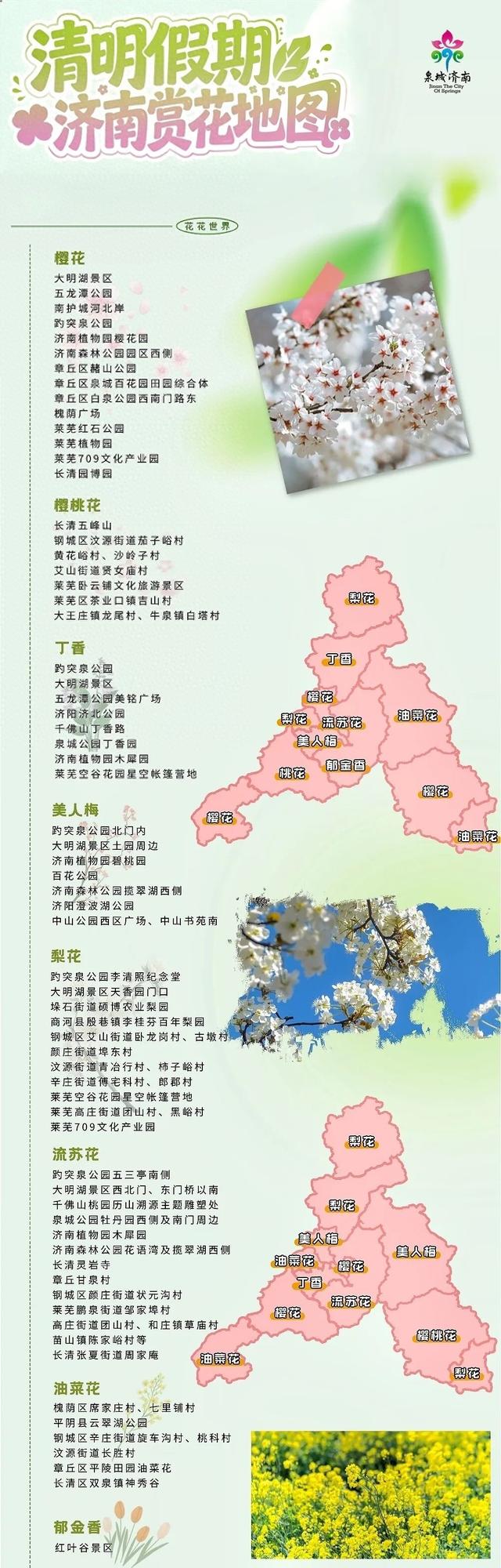 收好！“赏花地图+活动清单”带你解锁泉城春日美好