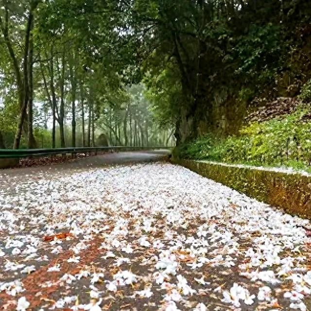 人老了，趁还能动，赶紧把这三件事安排。