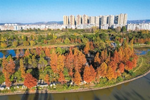 冬日尽斑斓 城市如诗画