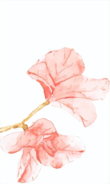 一园月季韵，满城春日情｜中国月季园月季文化系列活动重磅登场