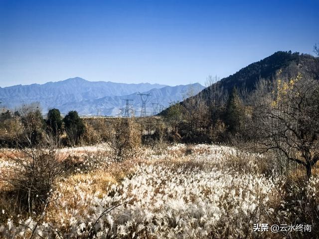 在蓝田不为人知的这个峪口，驱车深入，发现一个隐秘的“桃花源”