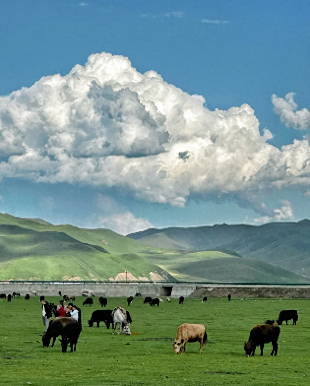 北京人去了甘肃和青海，直言不讳：甘肃人和青海人气质截然不同！