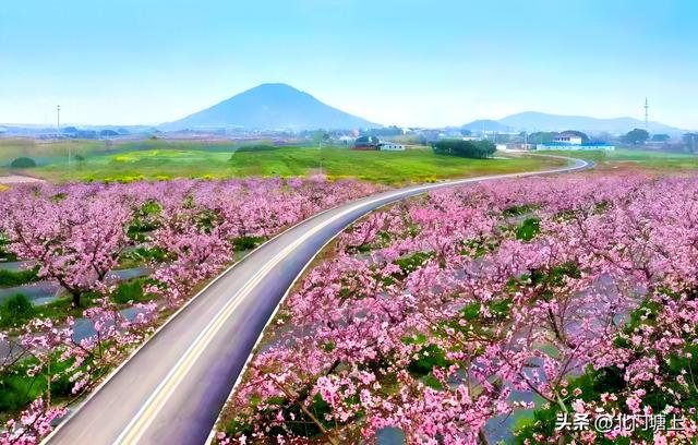 阳山村：从“桃香四溢”到“诗意栖居”的乡村谍变之路