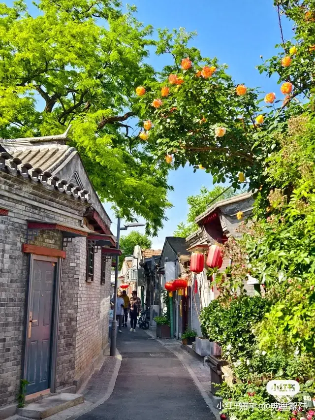 为什么144小时免签的vlog老外都说中国街道安静？