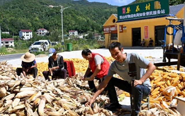 湖北郧阳：青山村的“云端突围”