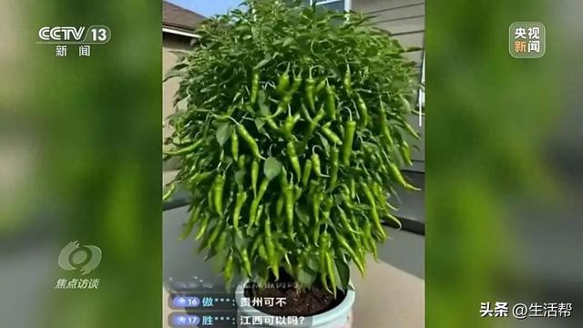 你刷到的奥运冠军代言可能是假的！起底AI仿冒带货新骗局