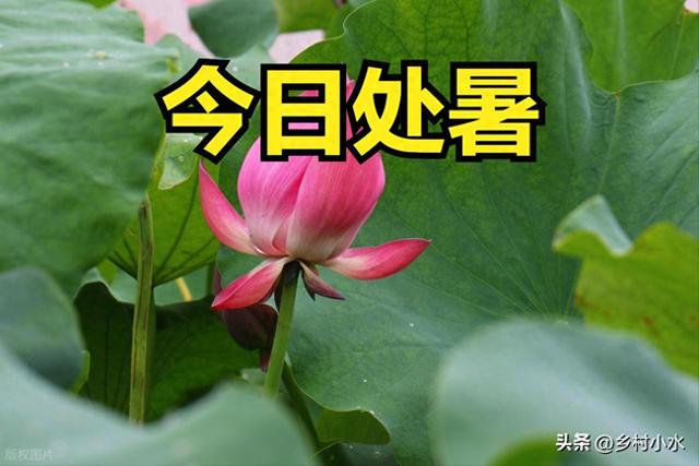 不是迷信！今日处暑，记得：1要吃、2不睡、3不去、4不归，早了解