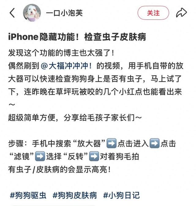 苹果用户注意！iPhone又有实用功能 可以找出虫子 操作方法很简单