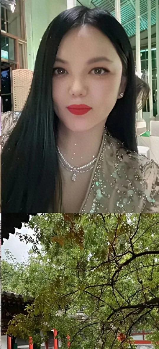 李湘晒北京小院，这应是她的房产之一吧，女儿王诗龄是唯一继承人