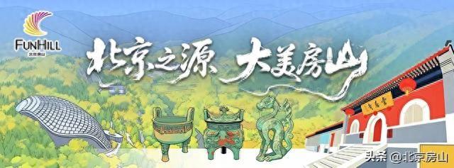 长阳公园9万株郁金香爆火，别让美景败给素质！