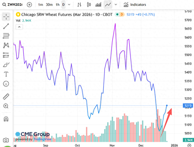 连涨5日！地缘政治风险与极端天气“共振”，小麦迎来8个月来最强反弹