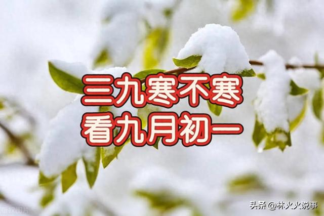 “三九寒不寒，看九月初一”，今日九月初一，今年冬天冷到哭吗？