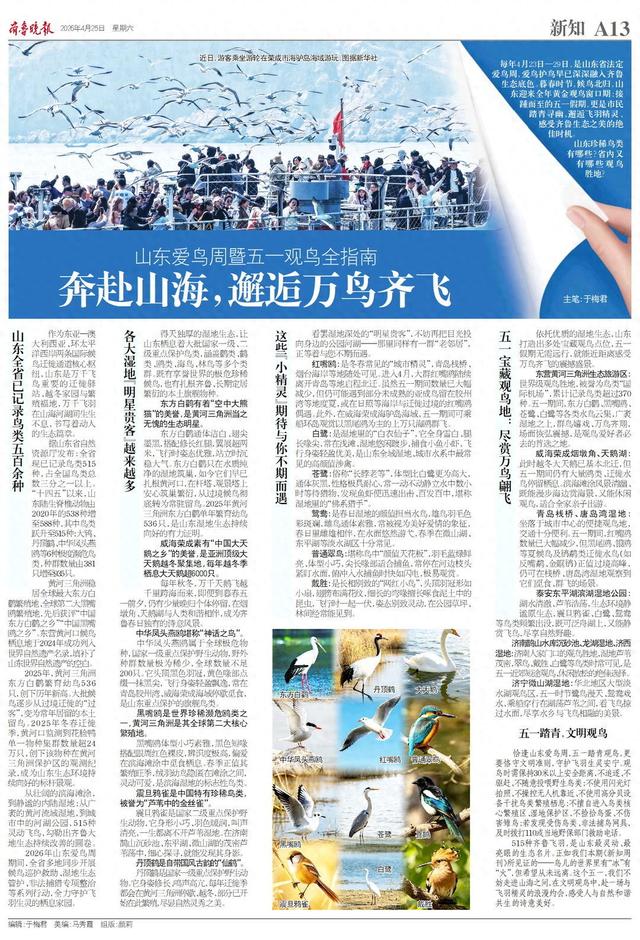 新知|五一宝藏观鸟地：沉浸式邂逅万鸟翩飞