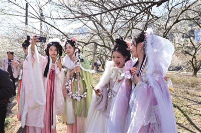福建永泰：以花为媒探索文旅融合新路径