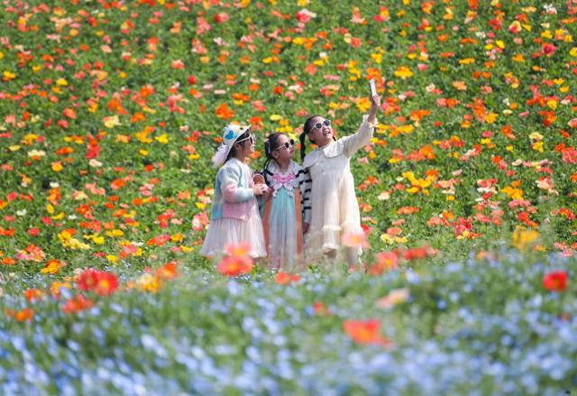 Color Walk、赏味游……这个假期你更爱哪种？