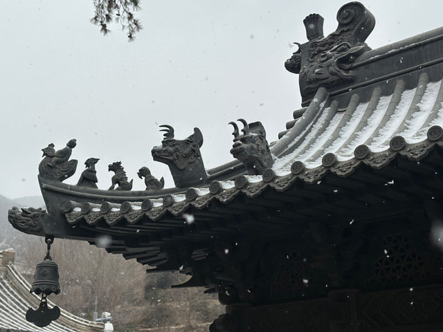 雪落千年古刹，别是一番诗情画意