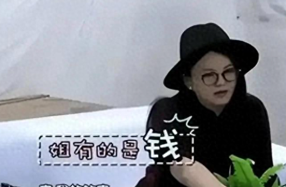 京圈四大富婆，身价过百亿，出门私人飞机，甚至坐拥北京一条街