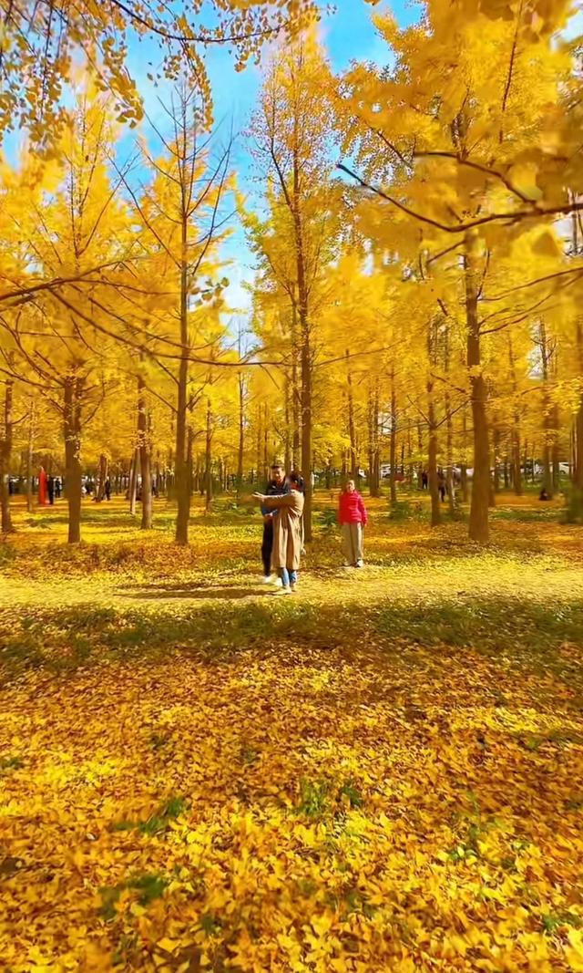 甜点时间攻略（入冬前·第一次接触甜品）