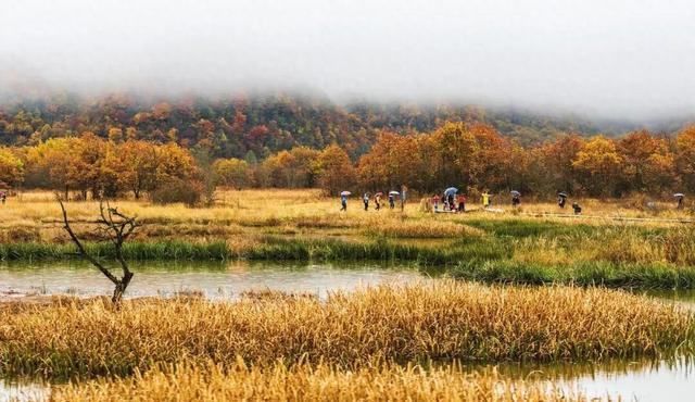 【90号公路】11、12月，深秋自驾——湖北神农架