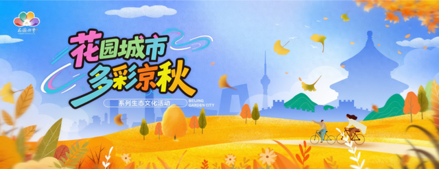 多彩京秋丨全市彩叶树变色率播报（2025.11.14）