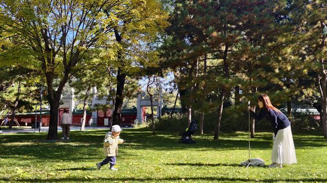 今日北京晴朗微风，有空走走，赏秋正当时