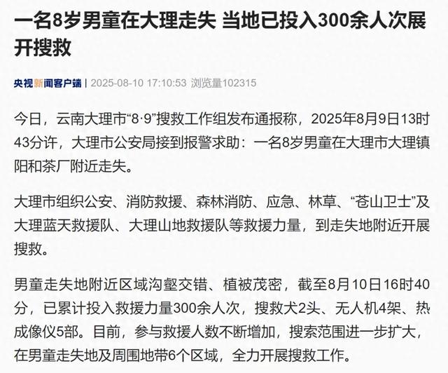 一名8岁男童在大理走失，当地已投入300余人次展开搜救，知情人：走失儿童系自闭症儿童