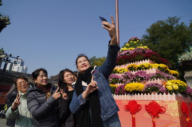 民俗博物馆前搭起菊花塔，重阳节主题文化活动启幕