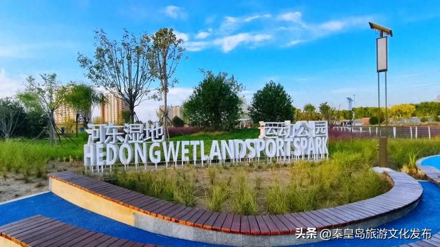 实拍！秦皇岛家门口的免费好去处，这个百亩湿地公园晚上也能逛~
