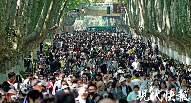 “五一”首日南京开启“人从众”模式，烟火气与文化味拉满
